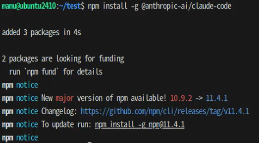 Terminal showing successful npm install output