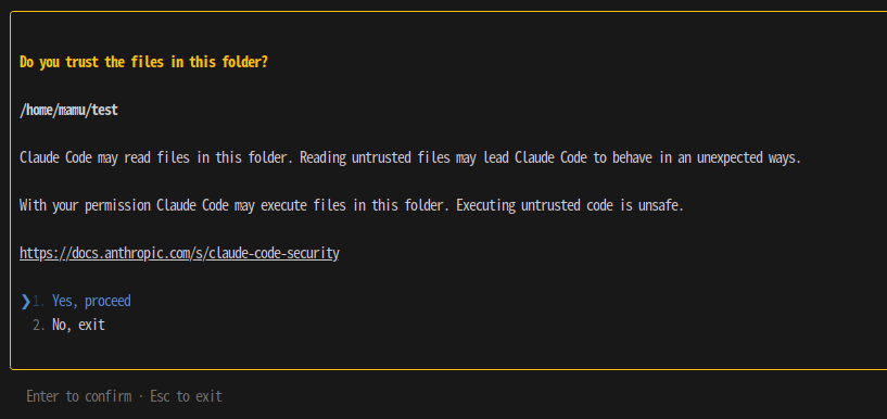 Prompt asking whether to trust the project folder