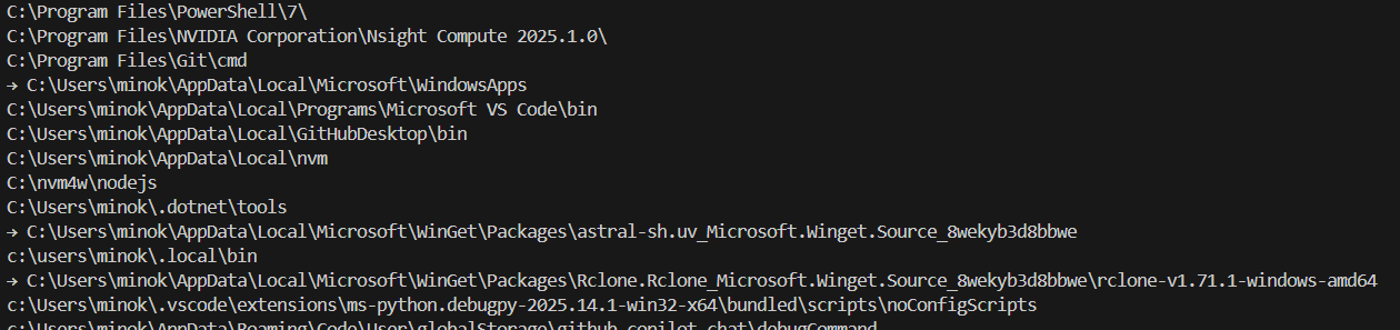 PATH environment variable check result - WinGet and standalone version paths displayed