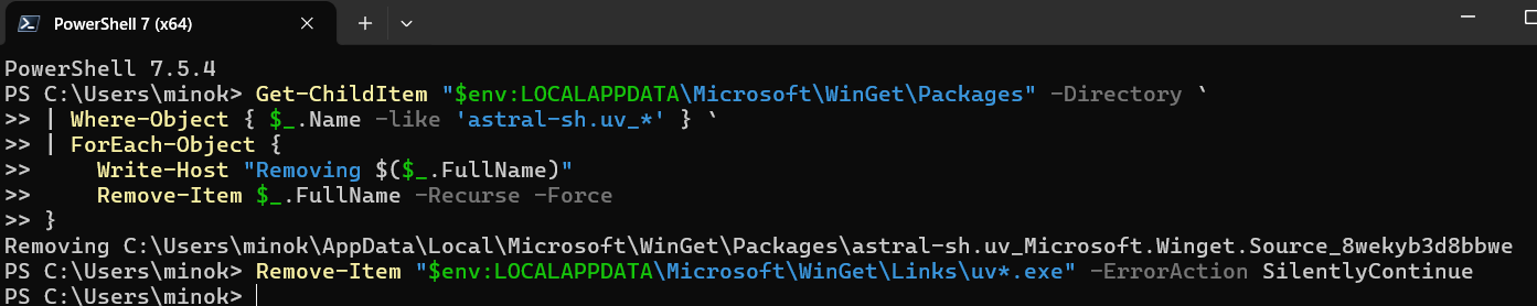 WinGet package removal execution screen